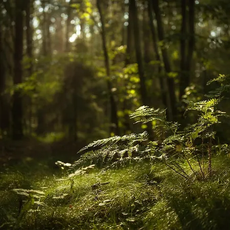 Casa de Férias Gosciniec U Sary Jastrzębia Góra